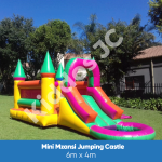 minimzansi
